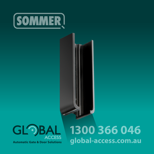 SOMMER Pearl Transmitter Holder (Black) incl. mount kit for car or wall